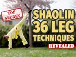 36 Shaolin Beintechniken